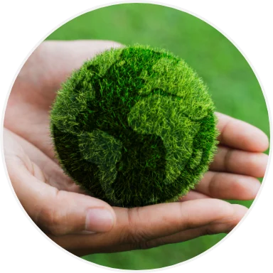 Sostenibilidad · Responsabilidad